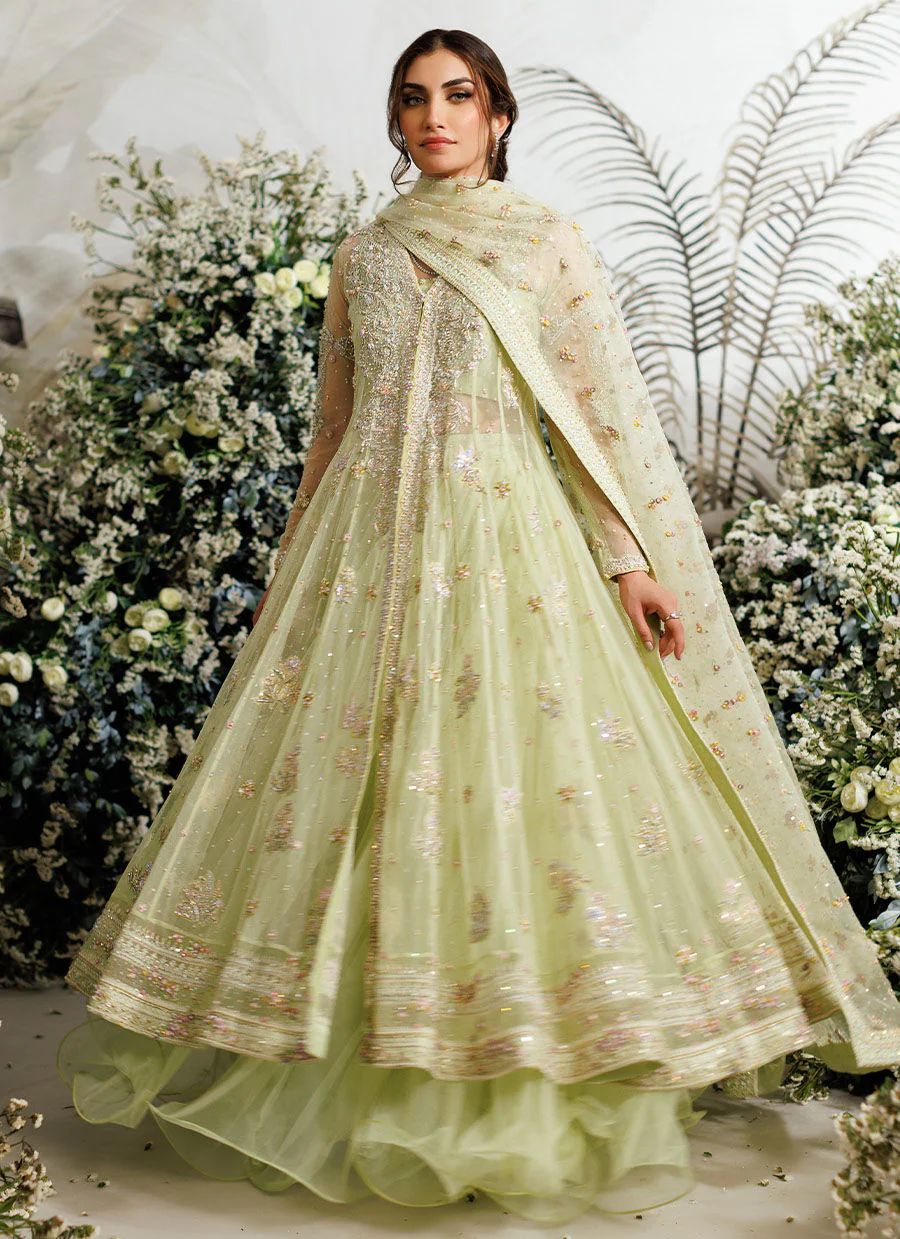 Farah talib aziz parrot yellow