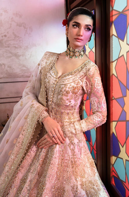 Hina Elegant Pakistani Embroidered Wedding Dresses Collection-00S