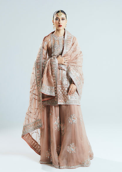 Hussain rehar peace pink wedding edition