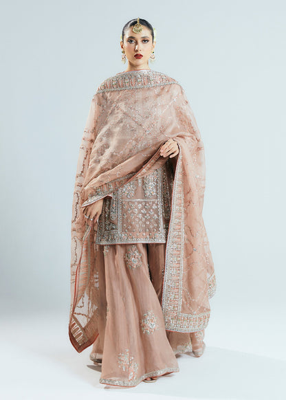 Hussain rehar peace pink wedding edition