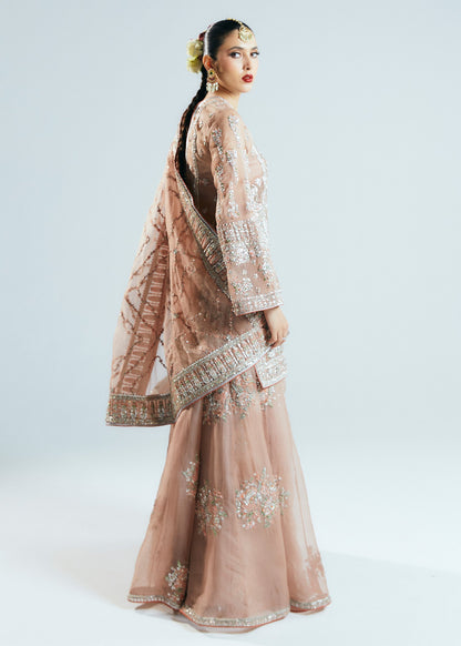 Hussain rehar peace pink wedding edition