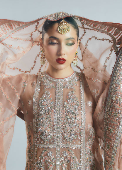 Hussain rehar peace pink wedding edition