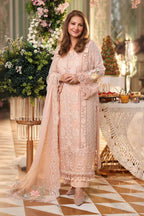 Embroidered Chiffon 00226
