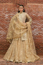 Roshni