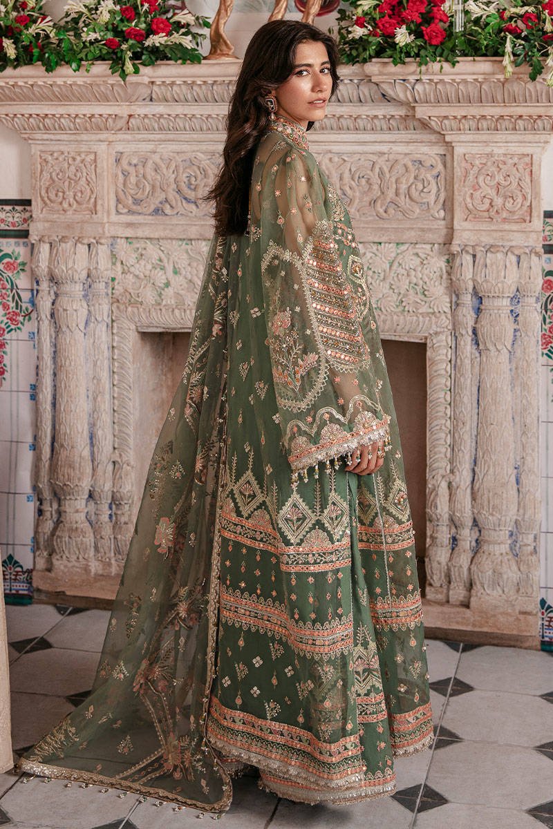 Pakistani Embroidered Organza Dress-00P