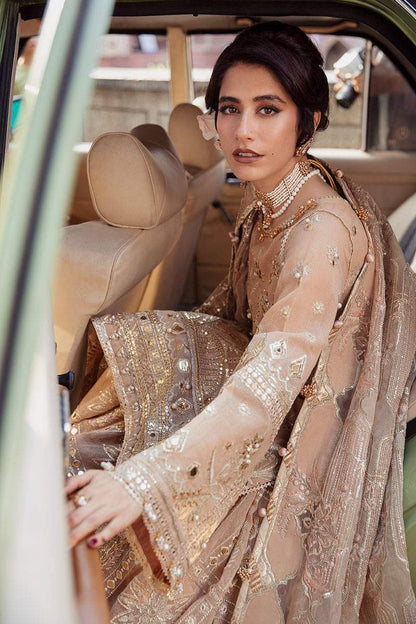 Royal Pakistani Wedding Dress-00P