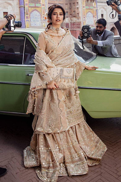 Royal Pakistani Wedding Dress-00P