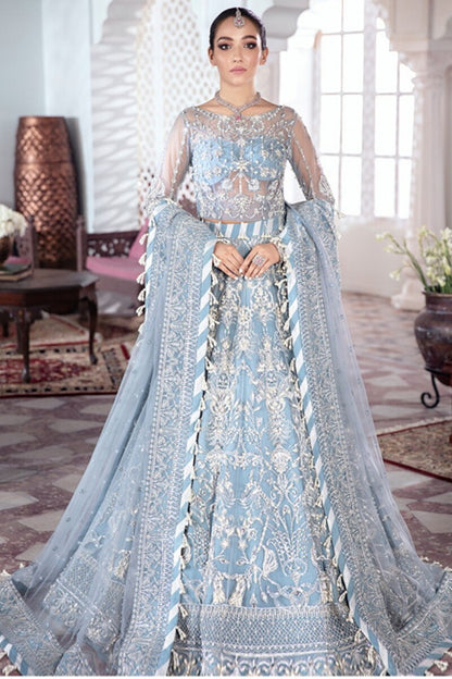 Mehnaaz Embroidered Net Suit-00F